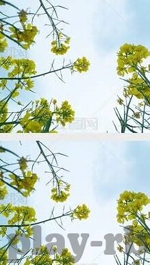 草莓视频丝瓜app免费麻豆-探索多元化娱乐的智能选择，智慧生活的新视界