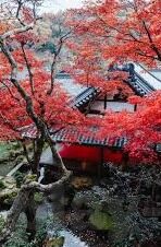美国伦理片-探索美国伦理片的复杂魅力，从熔炉到纸牌屋的道德边界